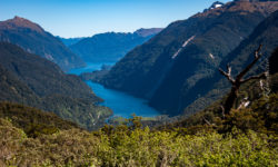 Wilmont Pass, Doubtful Sound, Neuseeland, Südinsel, New Zealand